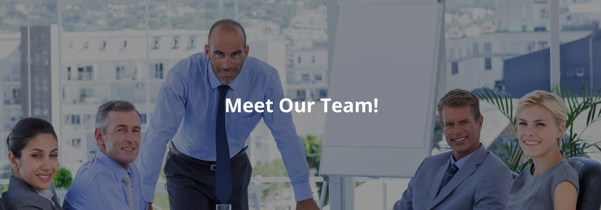 Meet the team